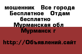 мошенник - Все города Бесплатное » Отдам бесплатно   . Мурманская обл.,Мурманск г.